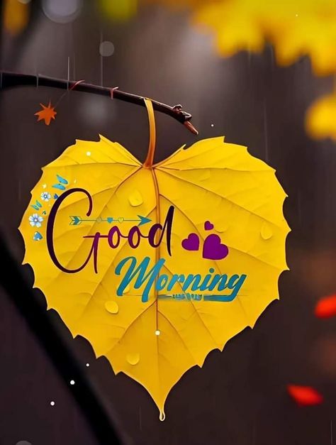 Goodmorning Cute Images, Goodmorning Cute Images Aesthetic, Goodmorning Cute, Montessori Calendar, Sweet Good Morning Images, Good Morning Rose Images, Nice Good Morning Images, Good Morning Sunday Images, Latest Good Morning Images