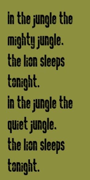 Paper Lace - The Lion Sleeps Tonight - song lyrics, songs, music lyrics, song quotes,music quotes Quotes Lyrics Songs, Quotes Music Lyrics, Lion Sleeps Tonight, The Lion Sleeps Tonight, Sound Track, Lyrics To Live By, Great Song Lyrics, Quotes Board, Yearbook Ideas