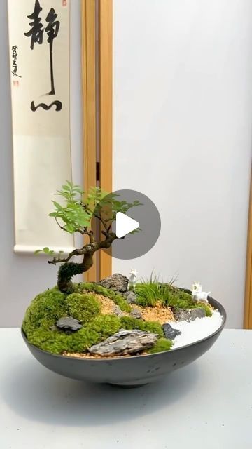 Pinecone Bonsai Diy, Bonsai Decoration Ideas, Mini Garden Ideas Small Spaces, Terrarium Bonsai, Bonsai Ideas, Mini Bonsai, Indoor Bonsai, Bonsai Art, Bonsai Garden