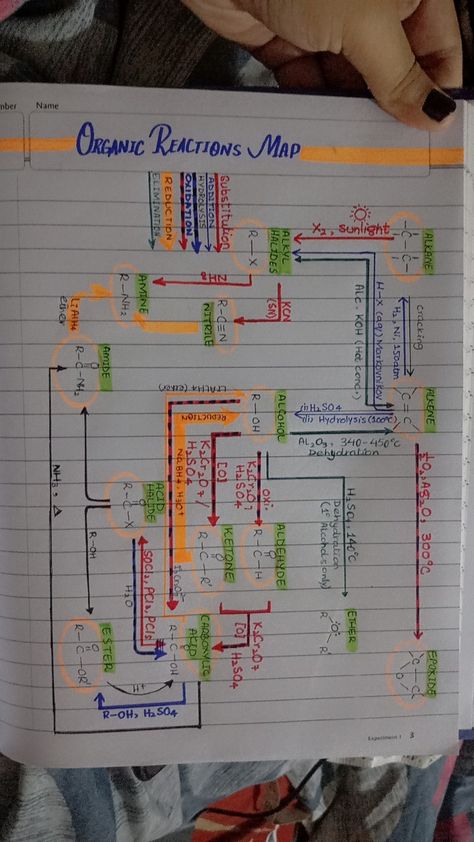 Conversions of different Functional groups Chemical Coordination And Integration Notes, Neet Inspiration, Chemistry Flashcards, Notes Chemistry, Physics Poster, Organic Reactions, Science Websites, Biochemistry Notes, Neet Notes