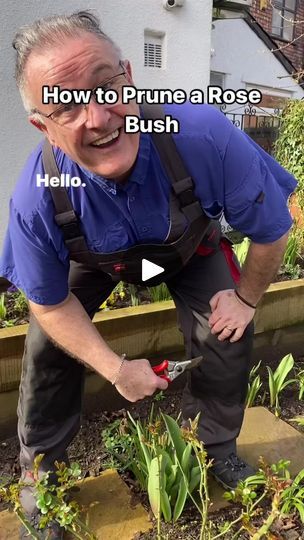 69K views · 871 reactions | How to prune a rose bush #gardensofinstagram #garden #gardening #roses🌹 #rosé #plantsplantsplants #plant #gardeninspiration #gardeningforbeginners | Dave The Plantman  | Dave The Plantman  · Original audio When To Prune Roses, Prune Roses, Pruning Roses, Garden Magic, Planting Roses, Rose Bush, Gardening For Beginners, A Rose, Garden Inspiration