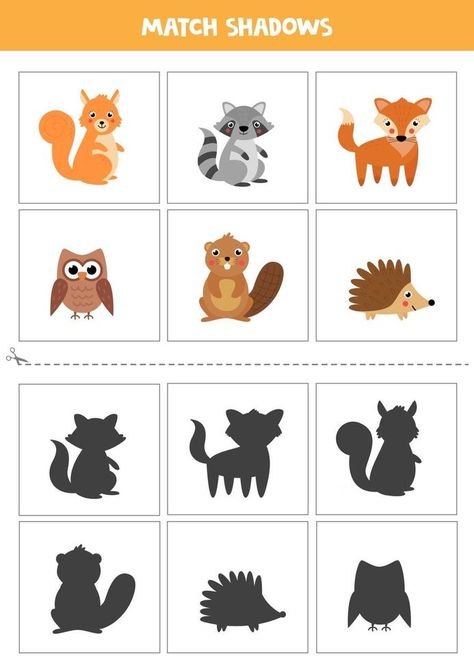 Forest Animals Preschool, Forest Animal Crafts, Animal Matching Game, Shadow Matching, Animal Worksheets, Kindergarden Activities, Math Games For Kids, Baby Learning Activities, Match Colors