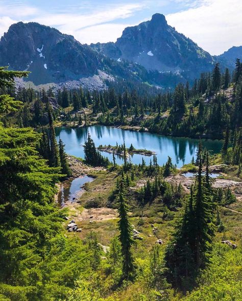 Cascadia Explored on Instagram: “Location: Alpine Lakes Wilderness, Washington  Photographer: @spirithiker •  The Alpine Lakes Wilderness is a large wilderness area…” Alpine Lakes Wilderness Washington, Canada Wilderness, Alaska Living, Canadian Wilderness, Alpine Forest, Miniature Bases, Camping Aesthetic, Oregon Washington, Alpine Lake