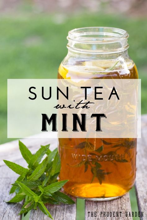 Sun Tea Recipes, Mint Tea Recipe, Sun Tea, Perfect Summer Drink, Iced Tea Recipes, Mint Recipes, Food Wishes, Herb Recipes, Summer Eating