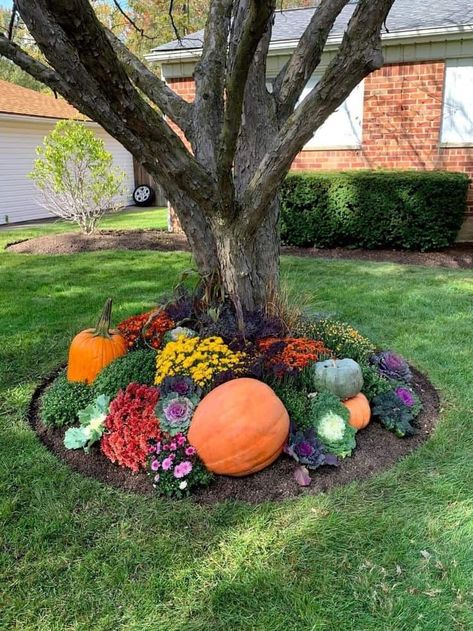 16 Fall Decor Ideas for the Garden » Lady Decluttered Fall Flower Porch Ideas, Front Yard Autumn Decor, Fall Front Flower Bed Ideas, Front Patio Fall Decor Ideas, Fall Landscape Ideas Front Yards, Front Yard Landscaping Fall, Fall Displays Outdoor Front Yard, Front Yard Pumpkin Display, Decorating With Pumpkins Outdoor