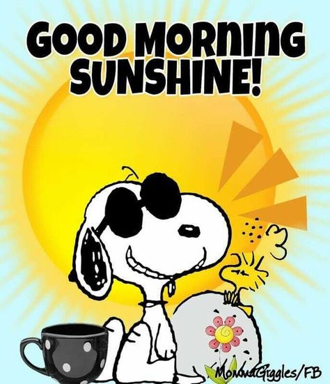 Good Morning, Sunshine! Sunshine Images, Snoopy Und Woodstock, Good Morning Meme, Funny Good Morning Memes, Grumpy Cats, Good Morning Snoopy, God Natt, Morning Memes, Snoopy Funny