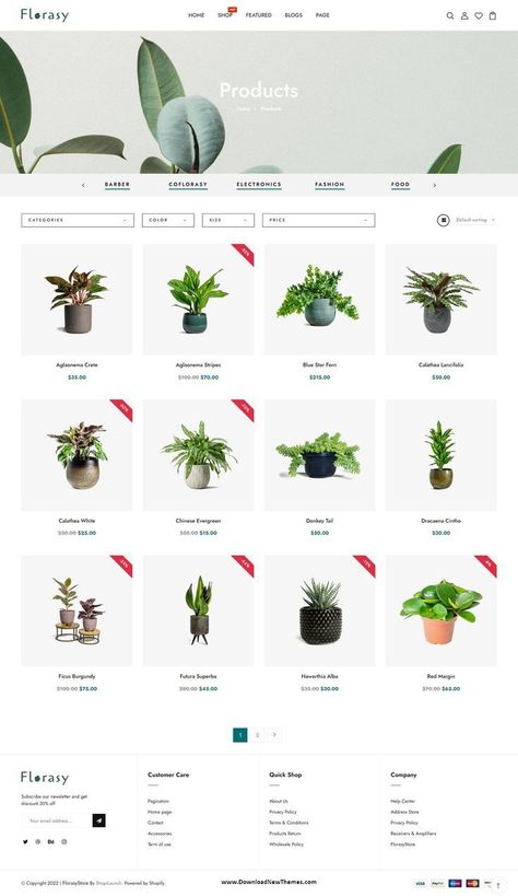 #Plant_Website_Design #Plant_Website #Online_Store_Website #Best_Shopify_Themes Plant Nursery Website Design, Plant Website Design, Pink Girls Bedroom Decor, Online Store Website, Design Fundamentals, Plant Store, Best Shopify Themes, Colorful Website, Ecommerce Websites