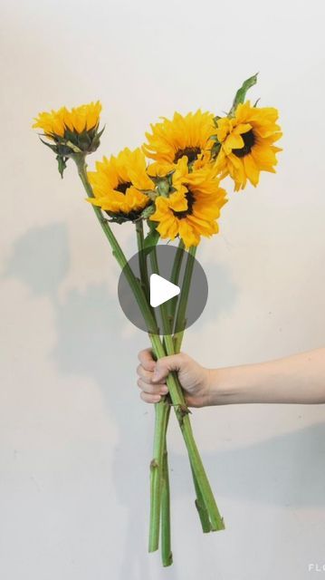 Lilly Bondarenko on Instagram: "👉🏼 What’s your trick?  This is my current way to wrap the bridal/maids bouquets. 🌻  ⚪️⚪️ the pearls are where I tell the bride and maids to keep their thumbs. This way the bouquet’s facial is facing the guests/camera, and they have something to fidget with if they get nervous. ⚪️⚪️  #bridalbouquet #bridesmaids #florist #seattleflorist #floraldesign #flowers #arlingtonflorist #wedding #weddingflowers #bridalflowers #sunflowers #roses #succulents" Diy Sunflower Bouquet, Sunflower Flower Arrangements, Fancy Decorations, Bridal Maids, Wedding Bridesmaid Flowers, Sunflower Bridal Bouquet, Bridesmaids Flowers, Sunflowers Roses, 2 Daughters