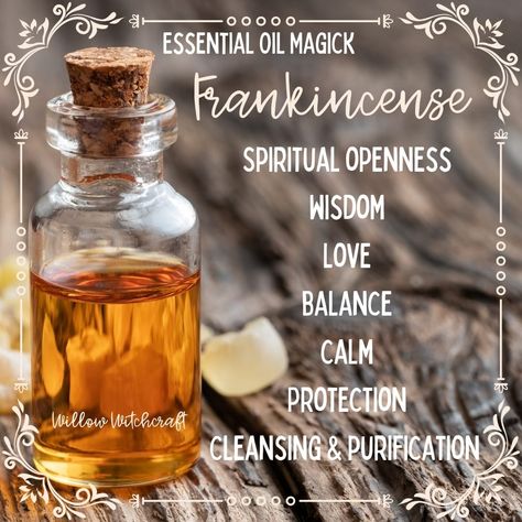 Frankincense Willow Witchcraft Frankincense Witchcraft, Native American Herbs, Frankincense Resin, Elemental Magic, Frankincense Essential Oil, Spiritual Wellness, Spells Witchcraft, Book Of Shadows, Essential Oils