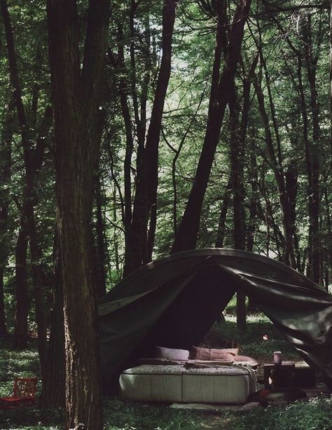 Dirty Beaches+Loscil+Terje+ Avey Tare » ISO50 Blog – The Blog of Scott Hansen (Tycho / ISO50) Outdoor Therapy, Sleeping Outside, Tent Bed, Forest Camping, Camping Inspiration, Camp Camp, Camping Stuff, Camping Tents, Art Camp