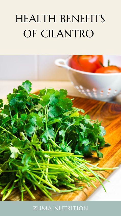 Benefits Of Cilantro, Cilantro Benefits, Heavy Metal Detoxification, Improving Gut Health, Cilantro Plant, Cilantro Seeds, Cilantro Recipes, Easy Healthy Eating, Improve Gut Health