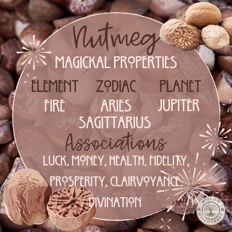 Oats In Witchcraft, White Willow Bark Magical Properties, Nutmeg Magical Properties, Turmeric Witchcraft, Psychic Herbs, Nutmeg Magic, Witchy Ingredients, Herb Meanings, Plant Symbolism