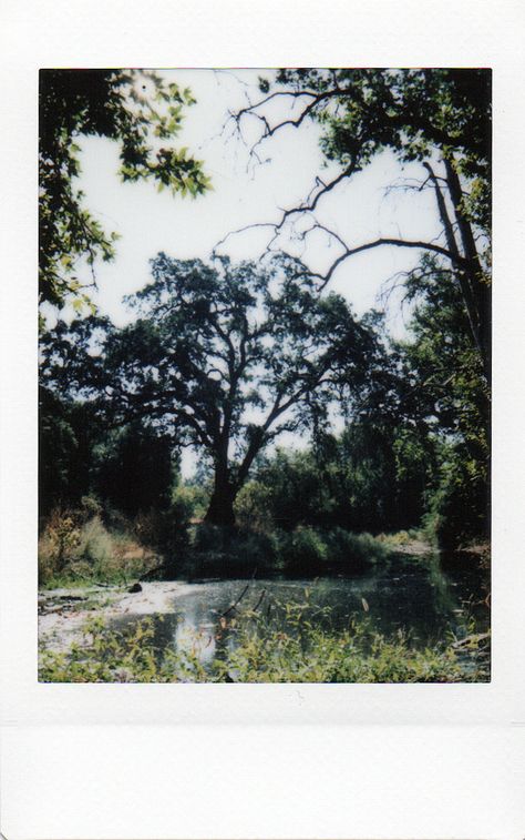 Polaroid Aesthetic, Polaroid Photography, Polaroid Frame, Polaroid Pictures, Polaroid Photos, Instant Film, Instagram Frame, Ethereal Art, Pretty Places