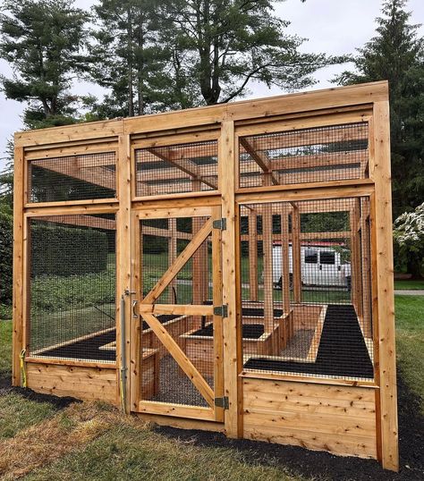 Fenced Vegetable Garden, Introducing Me, Cozy Garden, Backyard Greenhouse, Veg Garden, Greenhouse Gardening, Vegetable Garden Design, Backyard Garden Design, Summer Solstice