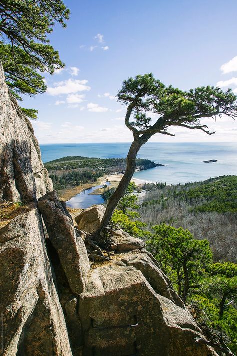 Hiking Trail On Mount Desert Island Acadia National Park Maine | Stocksy United by Raymond Forbes Photography #stockphoto #stockphotography #maine #newEnglandtravel #landscape #seascape #newenglandroadtrip #explore #hikinginmaine #NewEngland Acadia National Park Photography, Kensukes Kingdom, Travel Maine, Maine Landscape, Star Catcher, Maine Photography, Acadia National Park Maine, New England Road Trip, Mount Desert Island