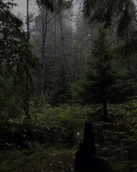 Dark Forest Witch Aesthetic, Witchy Forest Aesthetic, Witch Forest Aesthetic, Dark Green Witch Aesthetic, Woods Aesthetic Dark, Appalachian Witch, Witch In Forest, Witchy Vibes Aesthetic, Forest Witch Art