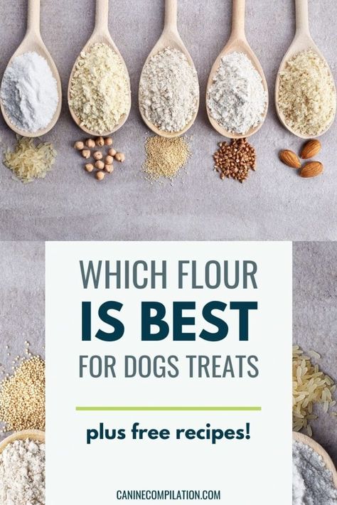 Organic Dog Treats Recipe, Natural Dog Treats Recipes, Parents Aesthetic, Healthy Homemade Dog Treats, Dog Treats Recipes, Dog Training Treats Recipe, Dried Dog Treats, Soft Dog Treats, Homemade Pet Treats