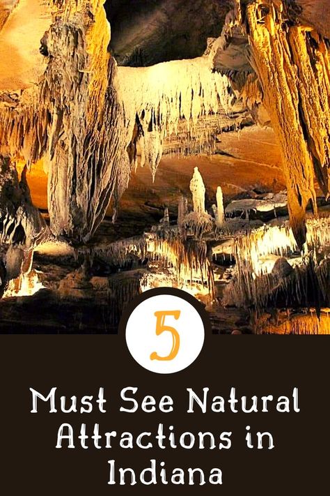 Looking for a last-minute summer trip or already planning for fall break? Check out these 5 natural attractions in Indiana. Indiana Vacation, Secret Bar, Indiana Travel, Northern Indiana, Fall Break, Summer Trip, Summer Adventures, Pretty Places, Summer Travel