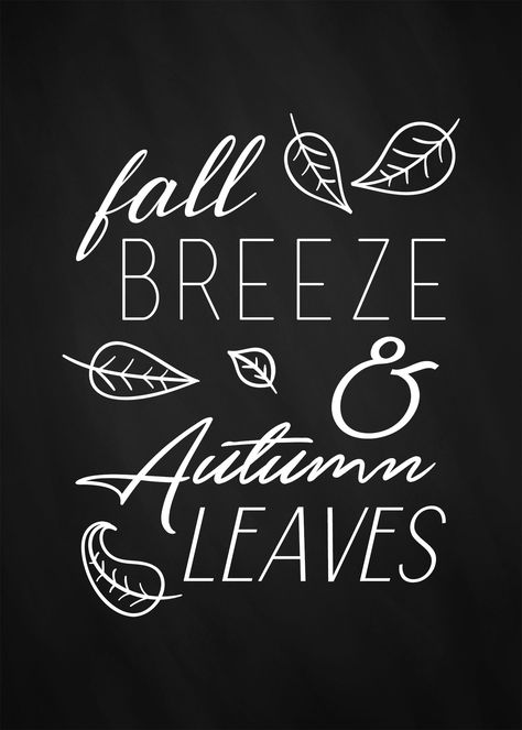 Fall is here and we thought a great way to celebrate would be with a new Free Printable Fall Chalkboard Print.  Who doesn’t want something new and fresh for their wall or vignettes.  So we are sending you a cool Fall Breeze sprinkled with Autumn Leaves (that you don’t have to rake : )  Come … Chalkboard Decor Ideas, Autumn Chalkboard, Chalkboard Fall, Fall Chalkboard, Chalkboard Door, Free Fall Printables, Chalkboard Decor, Chalkboard Print, Chalkboard Lettering