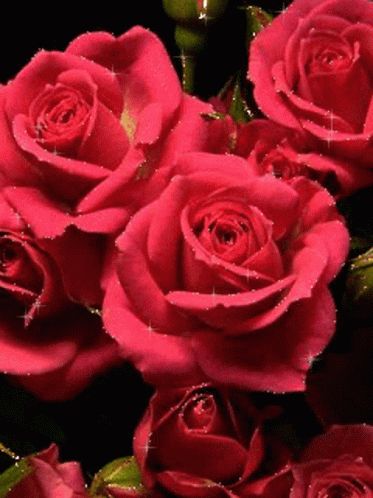 Red Roses Gif, Roses Gif, Rose Gif, Rosé Gif, Shree Krishna Wallpapers, Beautiful Flowers Photos, Lord Shiva Hd Images, Flowers Gif, Beautiful Love Pictures