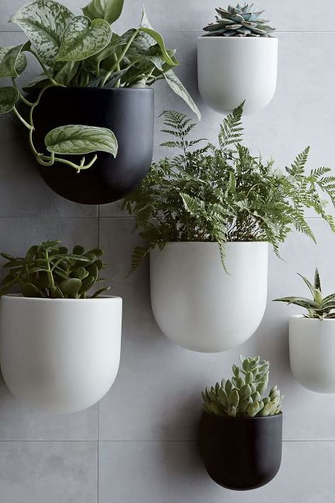 20 Best Wall Planters - Gorgeous Indoor and Outdoor Plant Holders Hanging Wall Planters Indoor, Planters Indoor, Wall Planters Indoor, Hanging Wall Planters, Wall Mounted Planters, Balcony Flowers, Wall Planters, Hanging Plants Indoor, Dining Room Wall Decor