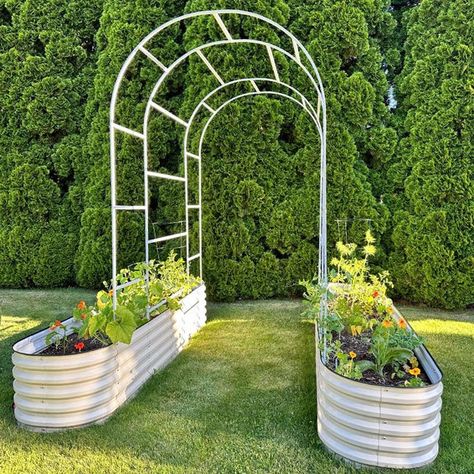 Gardening Wish List -  VEGEGA Metal Raised Garden Bed #gardening Arched Trellis, Metal Garden Beds, Garden Arch Trellis, Raised Planter Boxes, Arch Trellis, Metal Trellis, Vegetable Planters, Garden Nook, Metal Raised Garden Beds