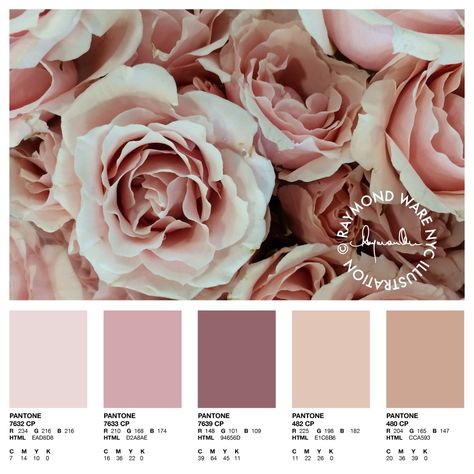 Edm Marketing, Pemberton Wedding, Blush Colour Palette, Blush Champagne Wedding, Rose Gold Color Palette, Nude Color Palette, Rose Palette, Blush Color Palette, Wedding Color Pallet