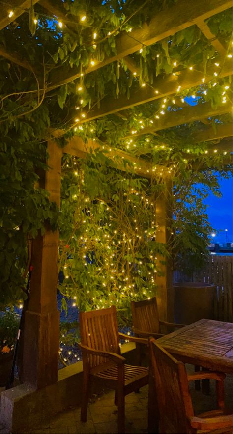 Vine Yard Wedding, Fairy Lights Outside Aesthetic, Fairy Lights Yard, Fairy Light Gardens, Backyard Aesthetic Night, Lights Astethic, Fairy Lights In Garden, Vines From Ceiling, Fairy Lights Aesthetic Wallpaper