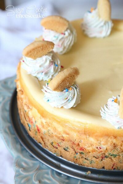 Sugar Cookie Cheesecake | Cookies and Cups Simple Cheesecake, Sugar Cookie Cheesecake, Biscotti Cheesecake, Cookie Cheesecake, Cookie Base, Brownie Desserts, Cheesecake Cookies, Oreo Dessert, Cheesecake Desserts