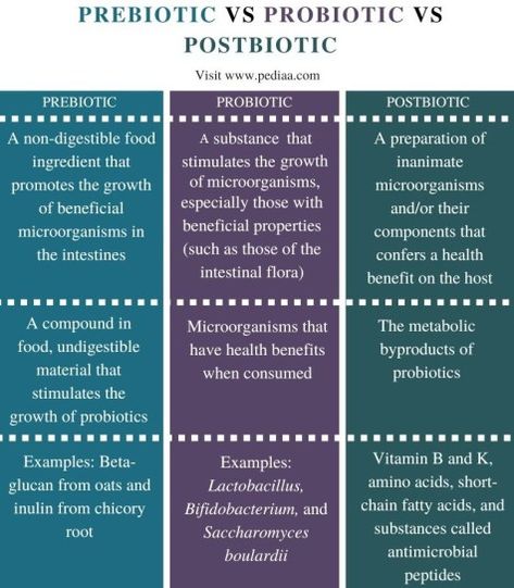 What is the Difference Between Prebiotic Probiotic and Postbiotic Check more at https://in4arts.com/what-is-the-difference-between-prebiotic-probiotic-and-postbiotic.html Vegan Essentials, Gut Health Diet, Probiotic Benefits, Fulvic Acid, Flora Intestinal, Prebiotics And Probiotics, What Is The Difference Between, Nutritional Value, Holistic Living