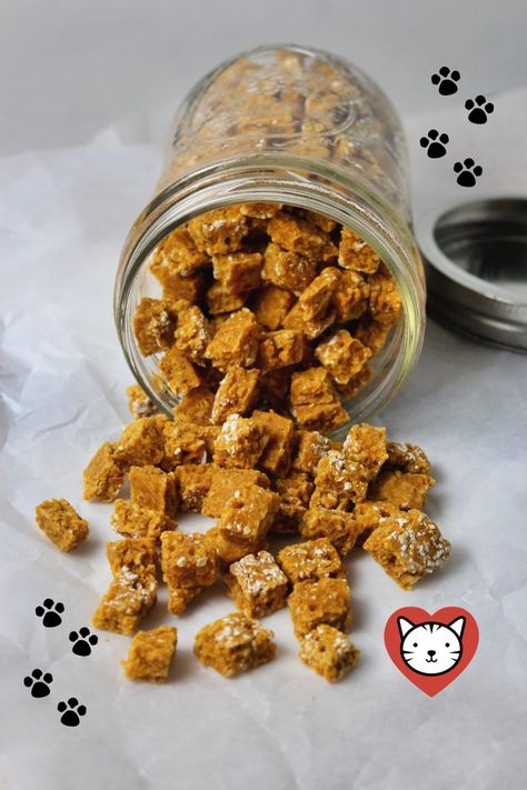 Diy Cat Treats Recipes, Cat Treats Recipes, Homemade Cat Treats Recipes, Diy Cat Treats, Homemade Cat Treats, Cat Breeding, Kitty Treats, Pet Bakery, Cat Food Recipes