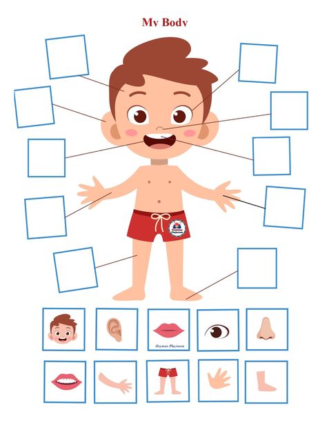 My Body. Five senses activities game Part Of The Body For Kids, Preschool Body Theme, Påskeaktiviteter For Barn, Oppgaver For Barn, Body Parts Preschool Activities, Kertas Kerja Prasekolah, Body Parts For Kids, Body Preschool, Body Parts Preschool