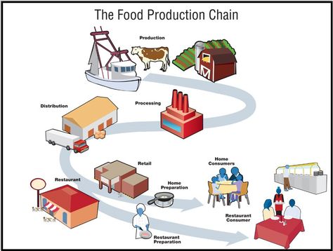 Phase Five Supply Chain – With a Message From A Dairy Farmer…. | The Last Refuge Supply Chain Infographic, Industry Illustration, Pizza Sale, From Farm To Table, Kitchen Safety, Food Resources, Technology Lessons, Consumer Packaging, Food Production