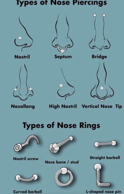 Different Nose Piercings Chart, Nose Peirce Chart, Nose Piercing Chart, Face Peircings Name Chart, Piercing Ideas Nose, Fang Pericings, Nose Piercings Ideas, Piercings Chart, Nose Piercing Ideas