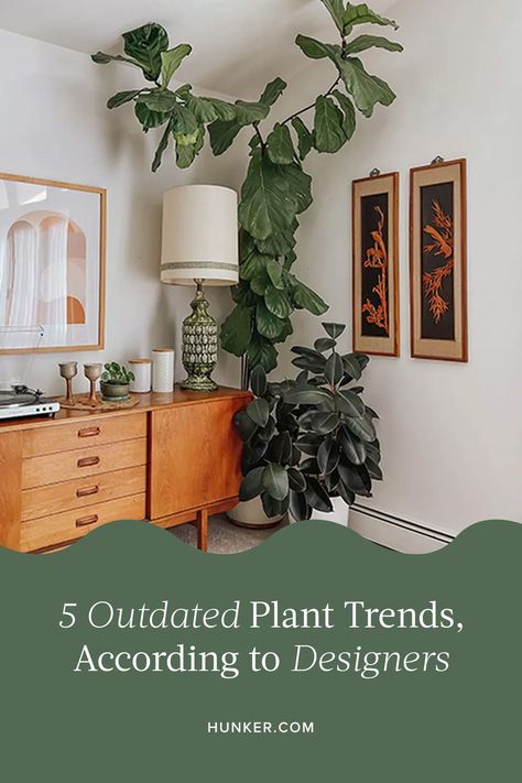 Trendy Plants 2023, 2024 Plant Trends, Fake Plants Decor Living Rooms, Office Plants Ideas Interior Design, Plant Decor Living Room, Popular House Plants, Plant Styling, Trendy Interiors, Trendy Plants