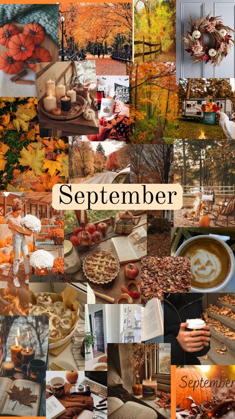 #fall #autumn #nature #september #cozy #f4f Hello September Aesthetic, Aesthetic September, September Aesthetic, Autumn Teaching Ideas, September Wallpaper, Autumn Phone Wallpaper, Cute Fall Wallpaper, Flowers Photography Wallpaper, Halloween Wallpaper Iphone