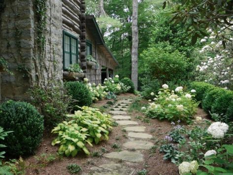 Hydrangea Walkway, Mountain Landscaping, Curb Appeal Garden, Lodge Ideas, Cashiers Nc, Endless Summer Hydrangea, Hosta Gardens, Hampton House, White Hydrangeas