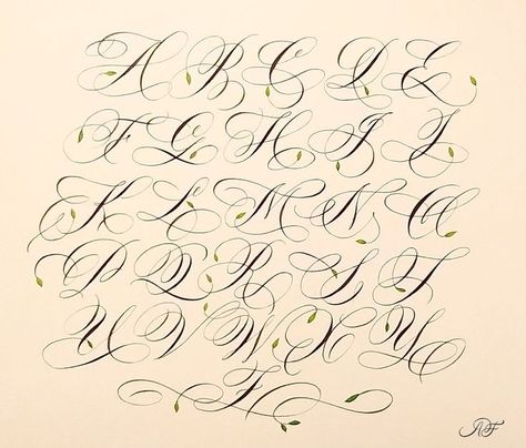 Elegant script writing flourishes into timeless beauty as sophisticated strokes of the brush bring forth the cultured majesty of Cursive A-Z, a masterpiece of refined artistry.#fontsalphabetgraffiti#fontsalphabetgraffitistreetart#fontsalphabetgraffitibubble#fontsalphabetgraffitidesign#fontsalphabetgraffitisketch#coolfontsalphabetgraffitistepbystep Cursive Z, Cursive V, Cursive Y, Cursive M, Cursive Letters Font, Cursive A, Cursive J, Cursive Letters Fancy, Cursive Fonts Alphabet