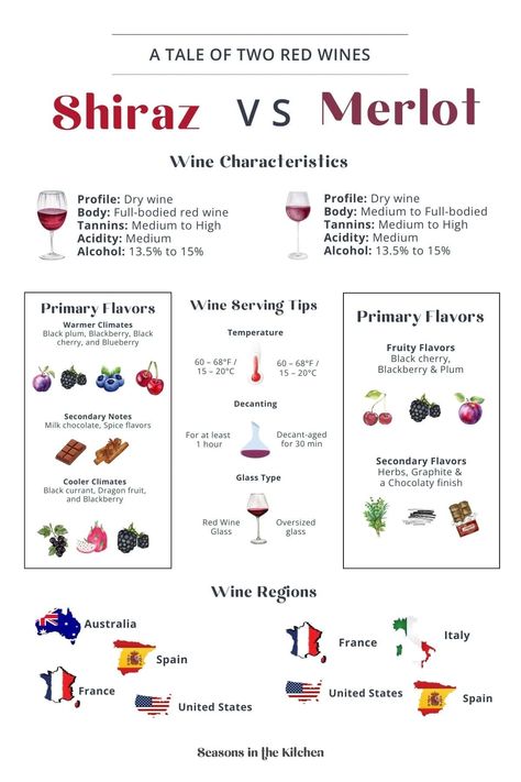 Curious about the differences between Shiraz and Merlot? This infographic compares their unique wine characteristics, flavor profiles, serving tips, and where they are grown. Perfect for wine lovers wanting to explore these popular varietals! Pop over to our site to learn more. Wine Infographic, Bartending 101, Shiraz Wine, Wine Recommendations, Wine Flavors, Merlot Wine, Wine Knowledge, Food Pairing, Dry Wine