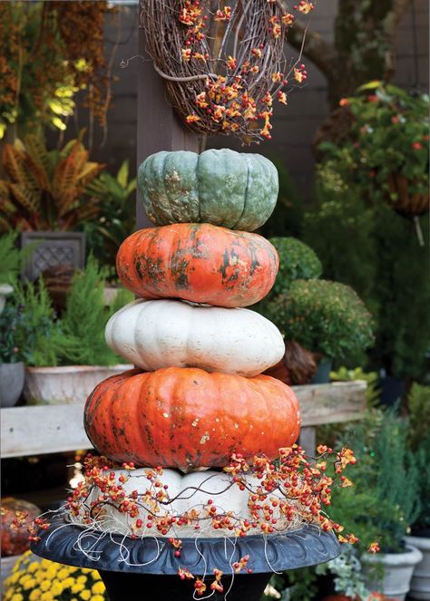 5 Ways to Style Your Pumpkins This Season - Cottage Journal Fancy Pumpkins, Pumpkin Plants, Altar Inspiration, Autumnal Decor, Small House Organization, Autumn Cottage, October Country, Halloween Pics, Planting Pumpkins