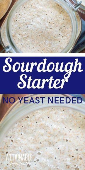 Natural Yeast Recipes, Make Yeast At Home, Sourdough Starter With All Purpose Flour, How To Make Yeast At Home, How To Make Yeast, No Yeast Sourdough Bread Recipe, Homemade Bread Without Yeast, Best Sourdough Starter Recipe, Wild Yeast Starter