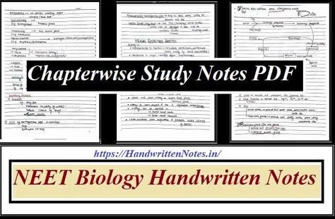 NEET Biology Handwritten Notes: Complete Notes | Download PDF Mineral Nutrition In Plants Notes, Class 12 Biology Notes Neet, Biomolecules Notes Biology Neet, Class 11 Biology Notes Cell The Unit Of Life, Class 11 Biology Notes Chapter 1, Class 11 Biology Notes Living World, Biomolecules Notes Biology Class 11 Neet, Animal Kingdom Notes Neet, The Living World Neet Notes