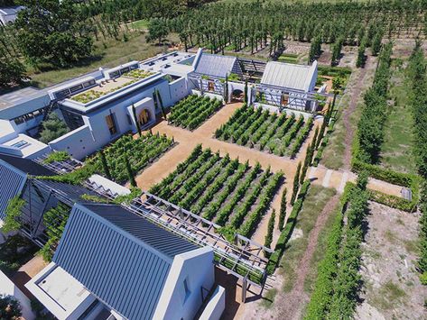 Modern Farm Layout, Container Resort, Karoo Architecture, Three Gables, Urban Greenhouse, Ranch Retreat, Multigenerational House Plans, Multigenerational House, Eco Farm