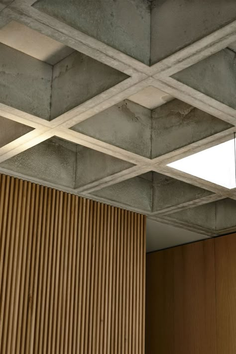 cement coffed ceiling Modern Coffered Ceiling, Rob Kennon, Cathedral Ceiling Living Room, Waffle Ceiling, Arts And Crafts Style Homes, Ochre Lighting, Leadlight Windows, Concrete Ceiling, Concrete Bricks