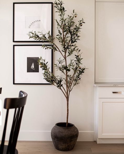 Our classic aged pots are here to stay! Pair them with a faux olive tree for the most perfect styled combo. Olive Tree Pot, Elm Wood Furniture, Senufo Stool, Vintage Terracotta Pots, Organic Living Room, Tree Pot, Faux Olive Tree, Entryway Console, Living Room Bench