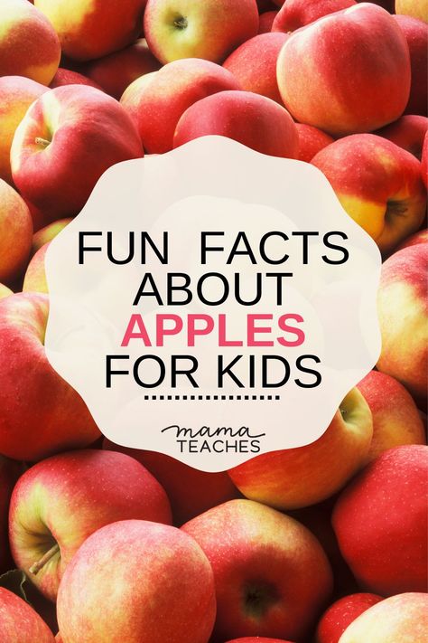 Apple Facts For Kids, Fun Facts About Fall, Apple Activities For Kids, Kids Fun Facts, Apple Tasting, Preschool Apples, Fall Facts, Apple Facts, Memory Care Activities