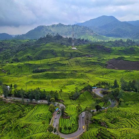 Inspirasi liburan di Instagram "enak nih buat akhir pekan ngadem kesini 😉. . photo by @barli8js . . lokasi Rancabali Ciwidey , Bandung. . . jangan lupa like and follow…" Ciwidey Bandung, West Java, Java, Tourism, Indonesia, Wonder, Instagram Post, Natural Landmarks, Instagram Posts