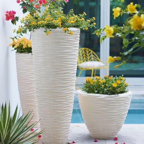 Textured Stone Planters - White | west elm West Elm Decor, White Outdoor Furniture, Modern Planters Outdoor, Cement Patio, Stone Planters, Tall Planters, White Planters, Modern Outdoor Furniture, Unique Plants