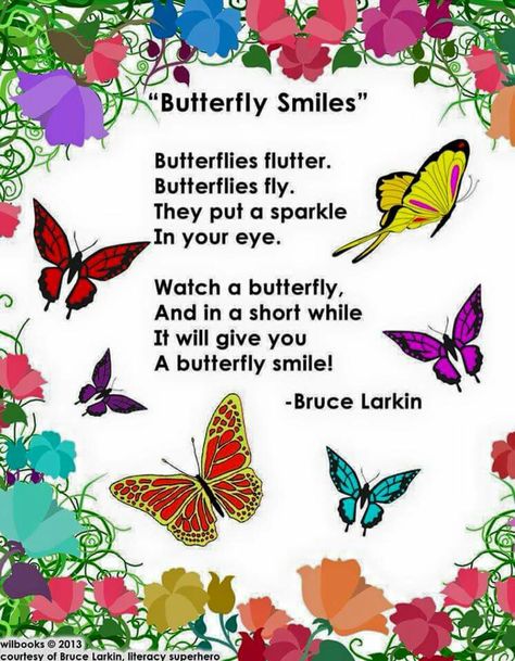 Butterfly Smile Butterfly Poems, Butterfly Quotes, Butterflies And Flowers, Butterflies Flying, Butterfly Theme, Cute Butterfly, Butterfly Cards, A Poem, Butterfly Art