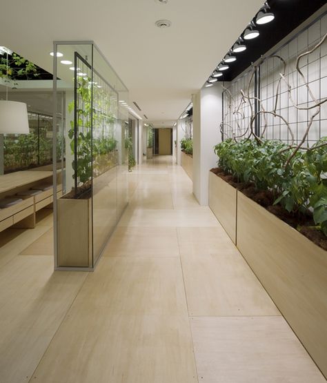 KONO DESIGNS - Urban-Farm Plant Office Design, Design Office Interior, Interior Design Office, Green Facade, Vertical Farming, Urban Agriculture, Green Office, Urban Farm, Best Office